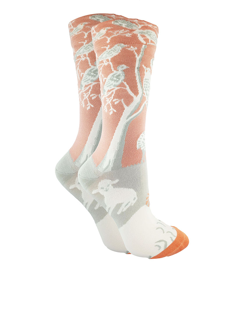 SC F76 SOCKEN