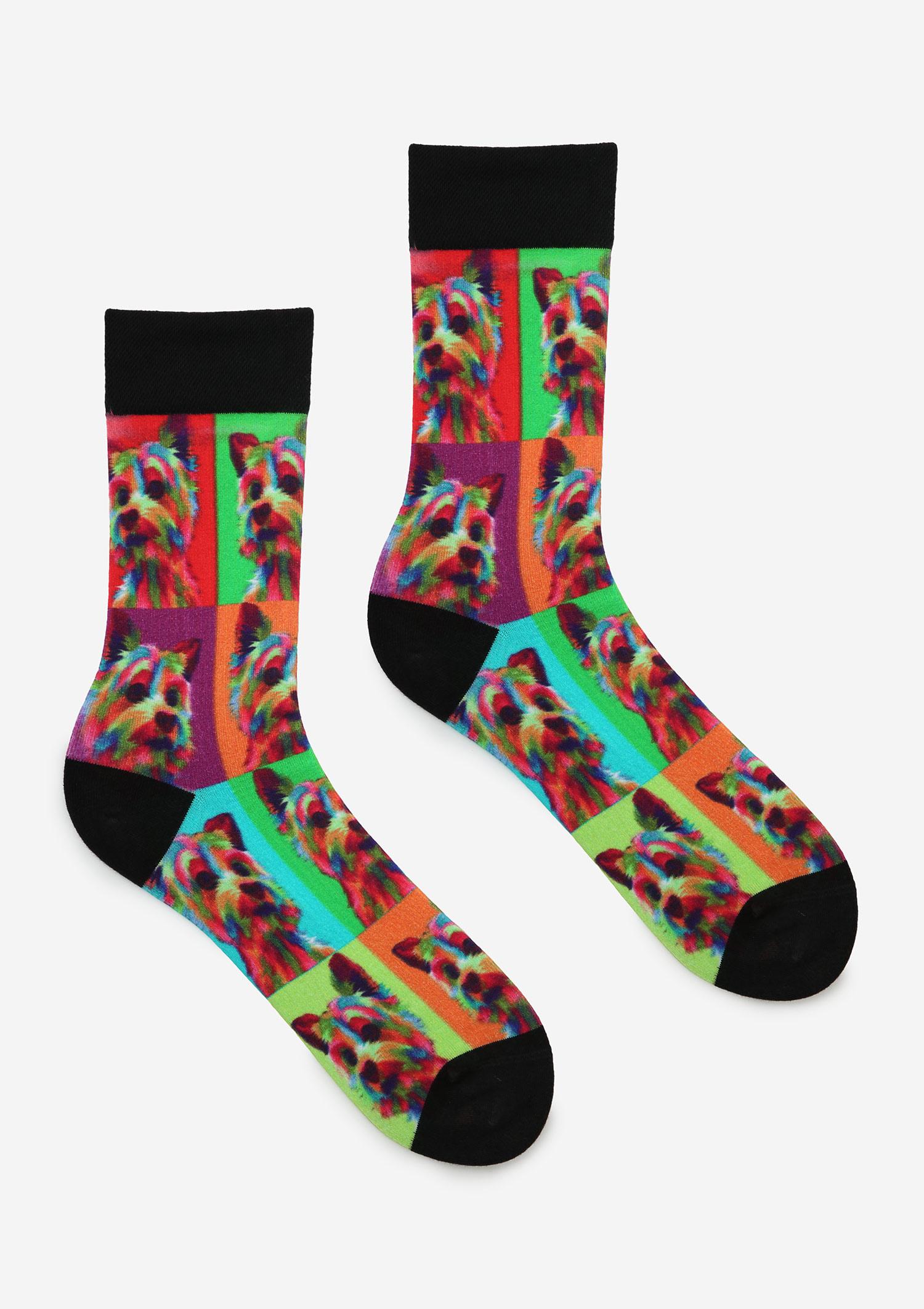 SPEZIELLE TERRIER-SOCKEN FÜR HERREN