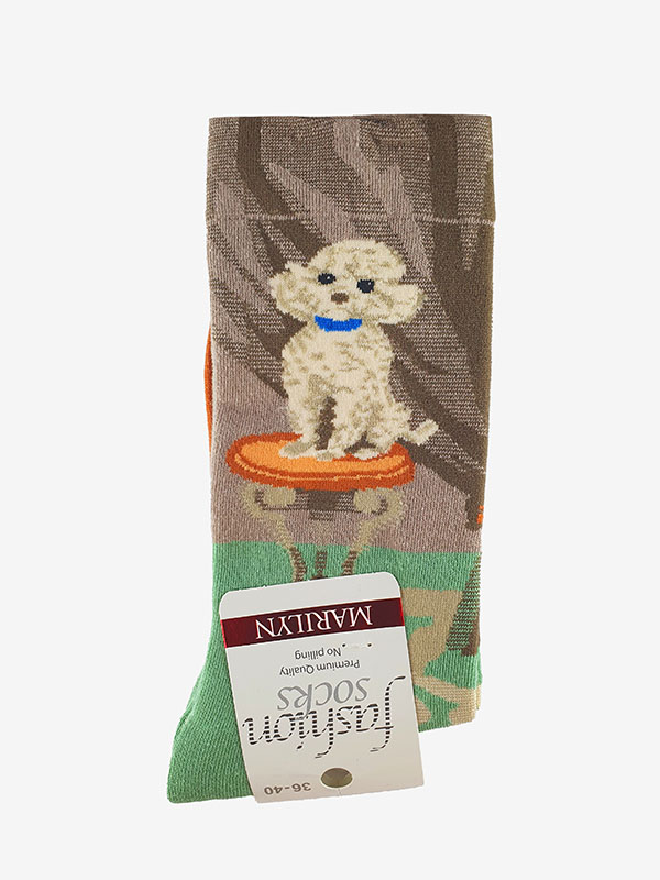 SOCKEN SL F41