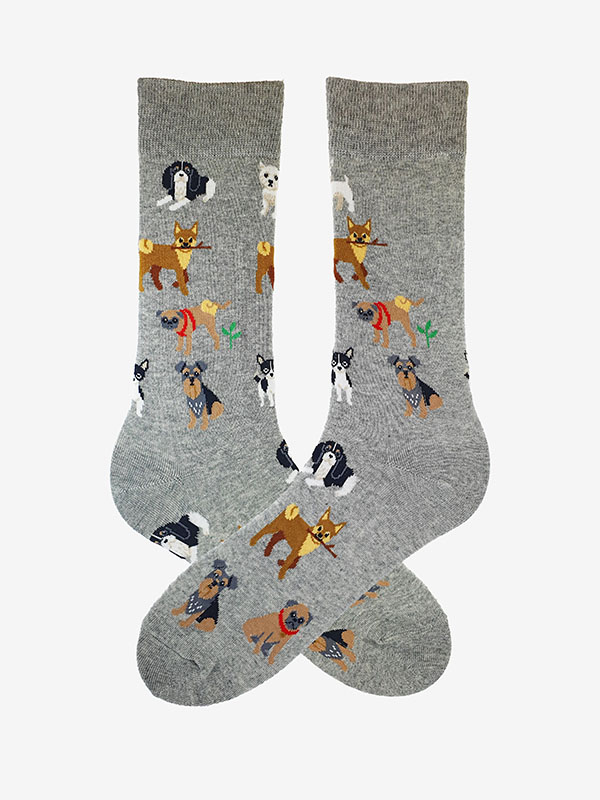 SOCKEN SL F64