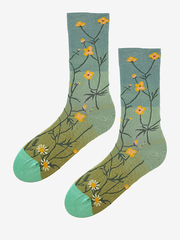 SC F75 SOCKEN