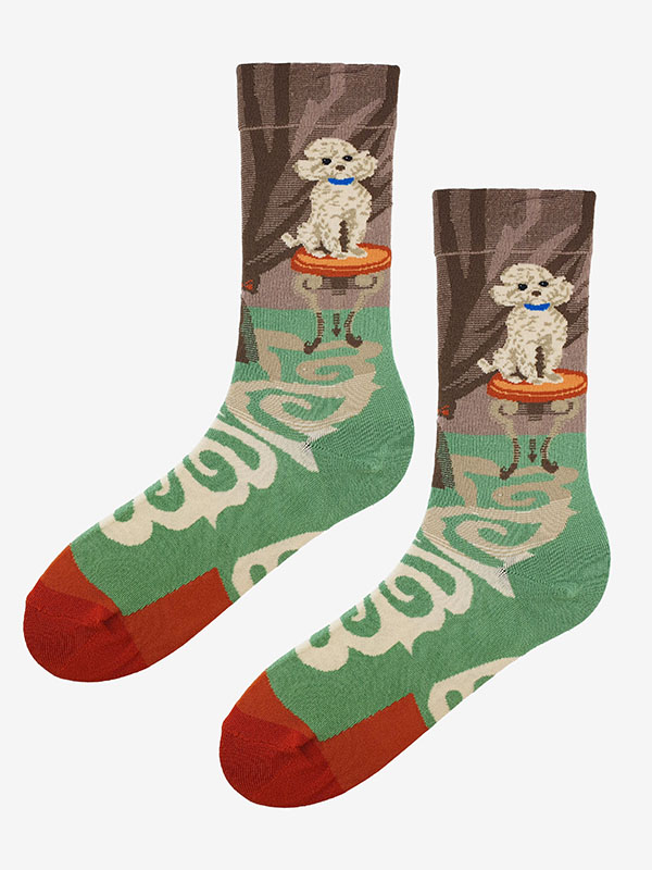 SOCKEN SL F41