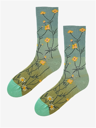 SC F75 SOCKEN