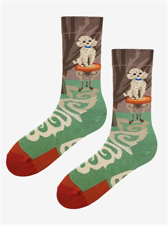 SOCKEN SL F41
