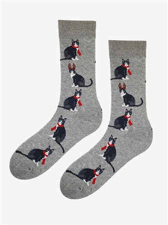 SOCKEN SL F63