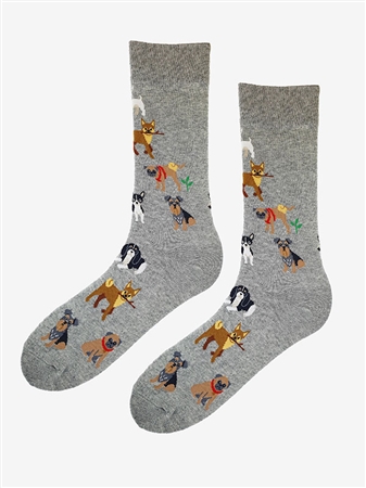 SOCKEN SL F64